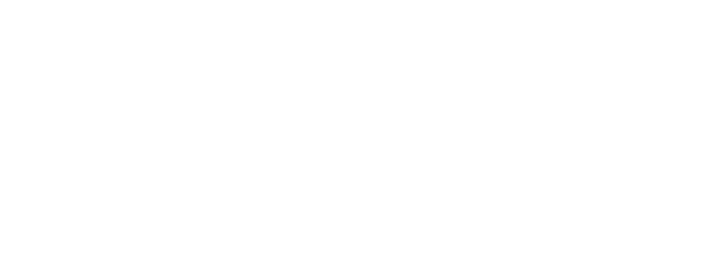 strippingthepistol.com